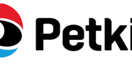 PETKİM Hissesi Teknik Analiz