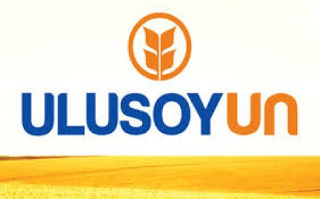 Uluun Hissesi Kısa Analiz