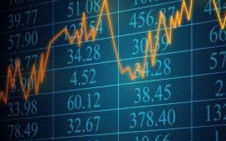 Hisse Senedinizi ya Kaydettirin ya da Değiştirin