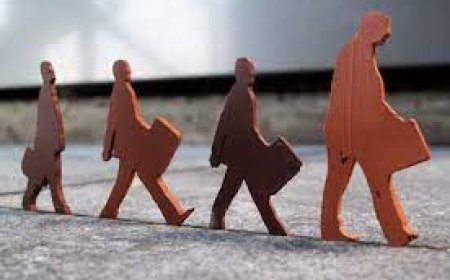 Tasfiye Süreci ve Yapılması Gereken İşlemler