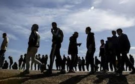 Kayıt Dışı İstihdamın Önlenmesinde Denetim, Personel Sayısı ve Sonuçları Üzerine