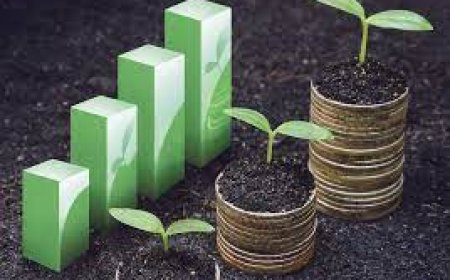 Tarımın Ekonomideki Yeri ve Gıda Arzı Güvenliği Sorunu