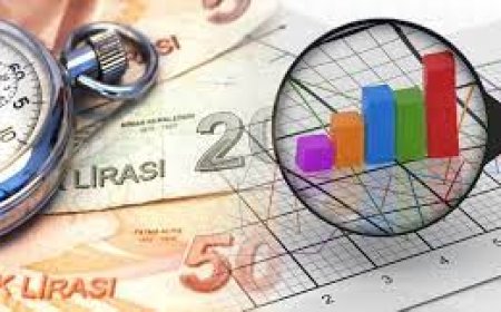 Türk Vergi Sisteminin Yapısal Sorunu, Dolaylı-Dolaysız Vergiler