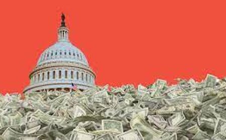 Vergi Ve Demokrasi İlişkisi