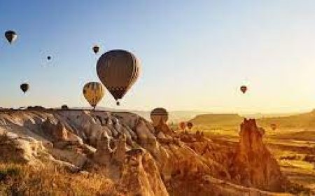 Bacasız Sanayi Beklentileri Karşılayamayabilir