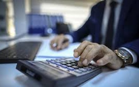 Şirket Sermaye Yapısının Belirlenmesinde Vergi Politikasının Rolü: Sermaye Artım İndirimi Düzenlenmesine Yönelik Eleştiriler 2