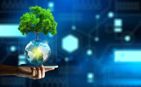 Bir Kırsal Kalkınma Örneği “TKDK”