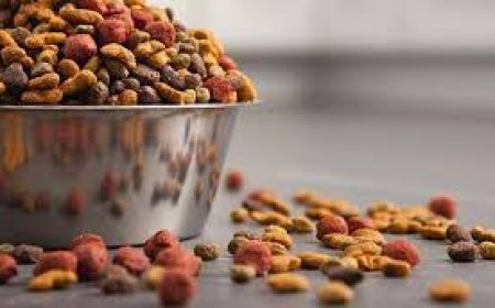 Kedi ve Köpek Mamaları Lüks Mü İhtiyaç Mı?