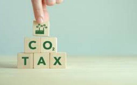 Sürdürülebilir Kalkınma ve Karbon Vergilemesi: Organik Kimya - Vergi İlişkisi