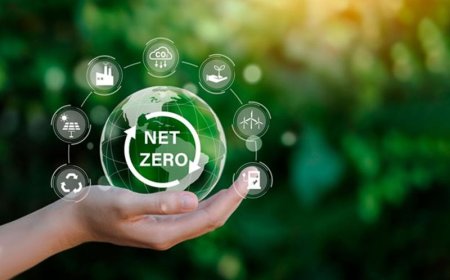 Yeşil Ekonomi Yolunda: Karbon Emisyon Ticaret Sistemi