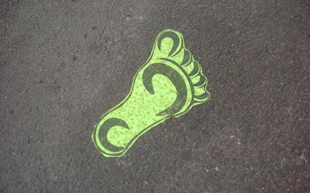 Karbon Sertifikasyonu: Sürdürülebilir ve Daha Yeşil Bir Geleceğe