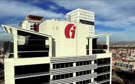 Gelir İdaresi Başkanlığının Vergi Denetimi