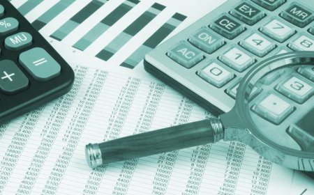 Maliyeden Kayıt Dışı Hasılat İçin Randıman Analizi Yöntemiyle Vergi İncelemesi Hamlesi